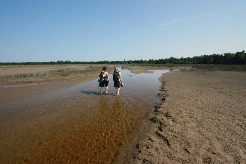 Part of the extensive beaches at Misery Bay Provincial Nature Park.