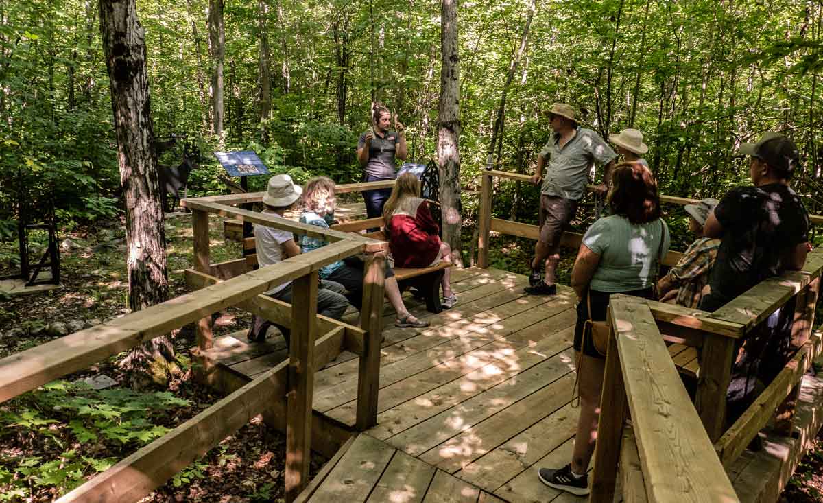 During a tour, participants walk along wooden boardwalks and relax on benches and decks while taking in fascinating information offered by the tour guide. Photo by Isobel Harry.